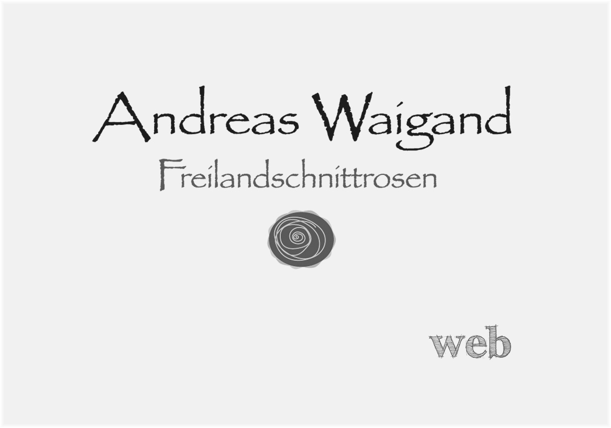 Homepage Andreas Waigand